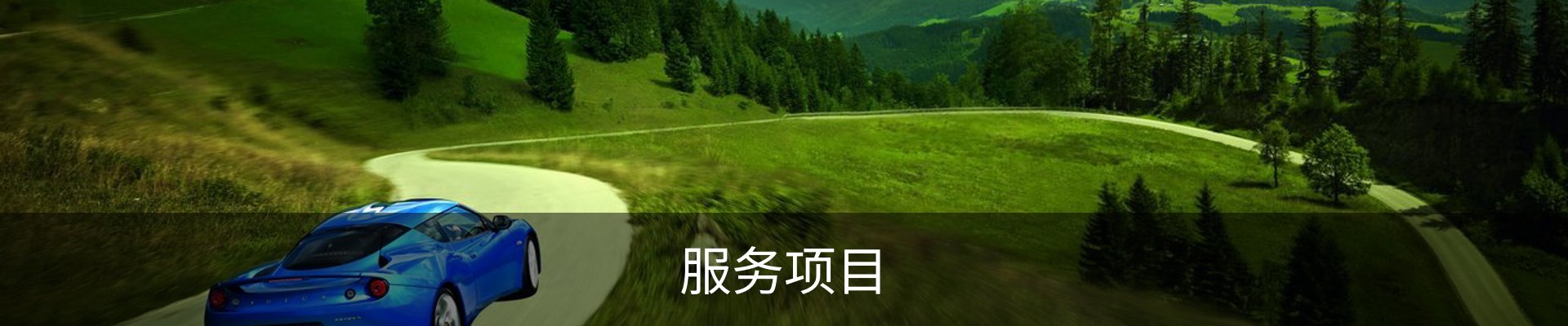 服务项目